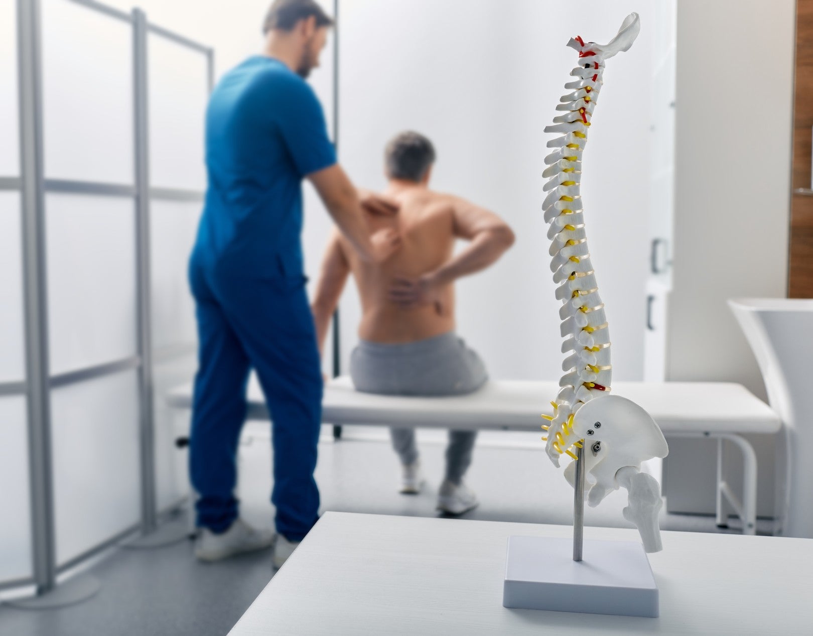 Medical professional examining a patient with back pain, with a model of the spine in the foreground, highlighting issues related to spinal health and posture.