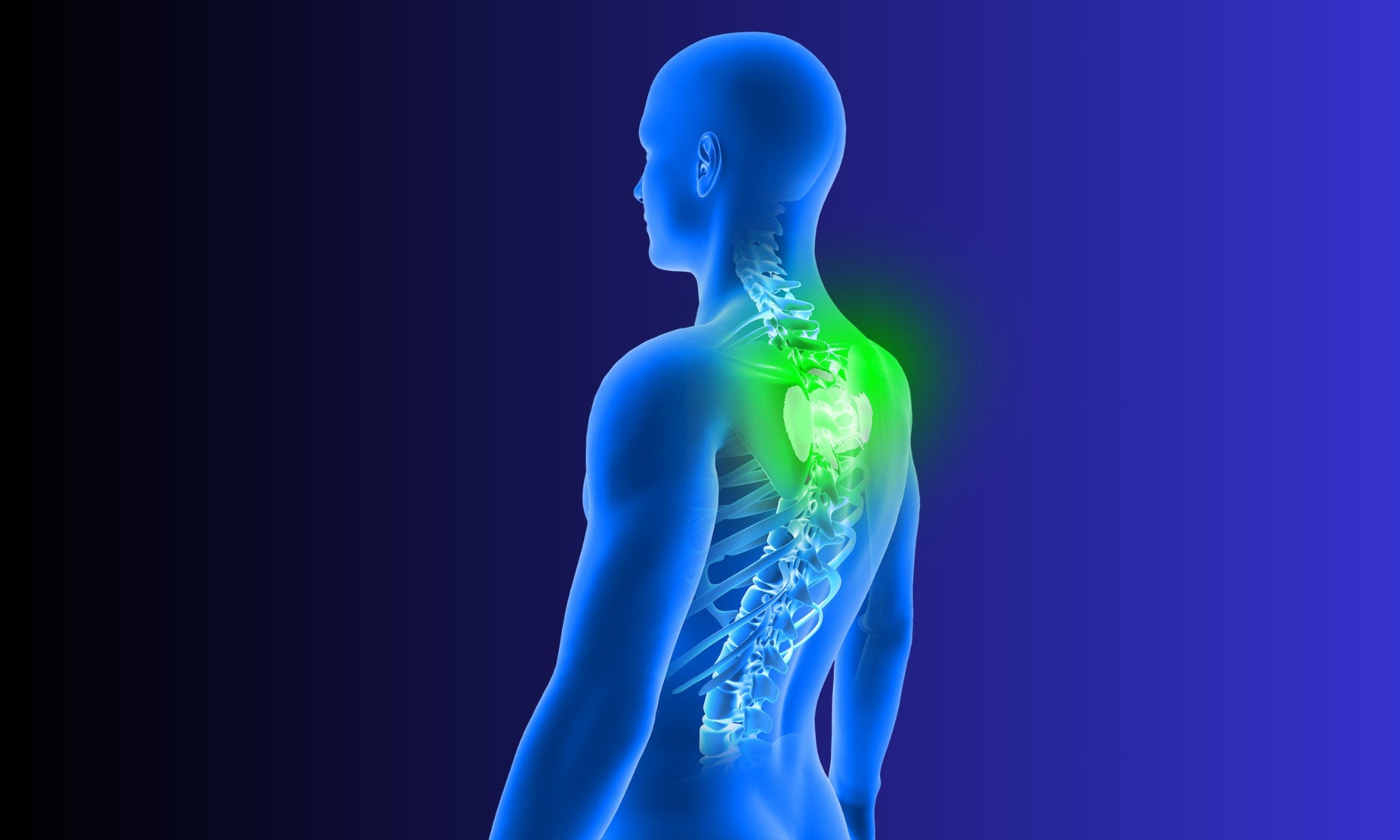 3D illustration of a human body showing the spine and neck area with highlighted green pain points, emphasizing the effects of poor posture and neck strain.